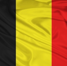 Услуги импорта товаров из Бельгии под ключ